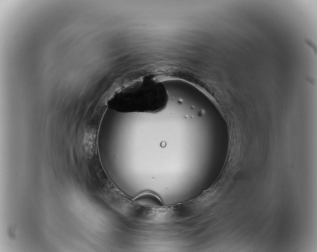 X0000102290240200808011520