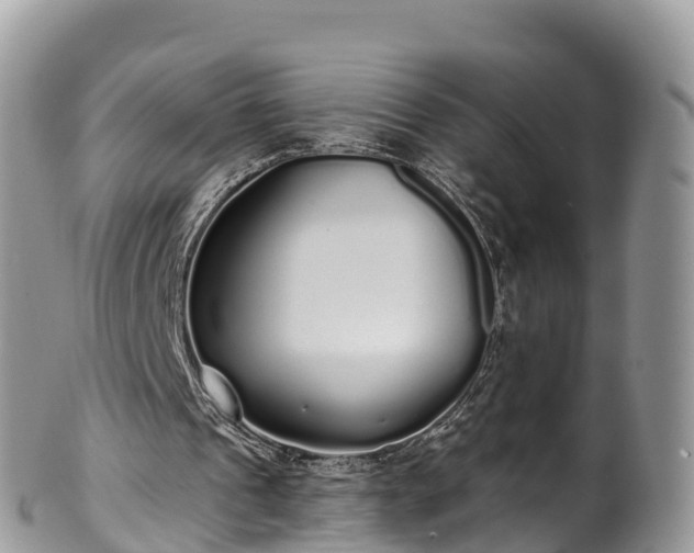 X0000102290241200808011519