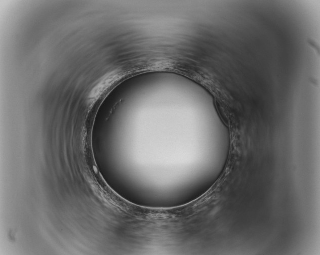 X0000102290242200808011519