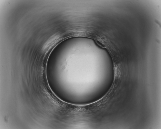 X0000102290243200808011519