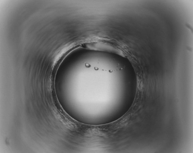 X0000102290244200808011519