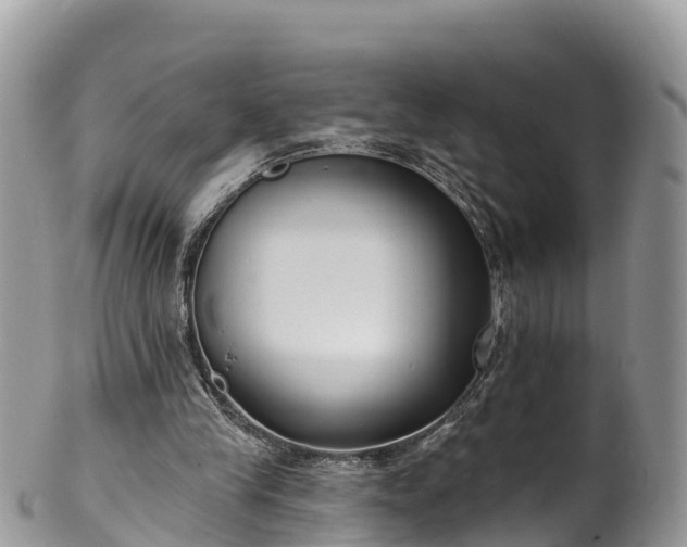 X0000102290245200808011519