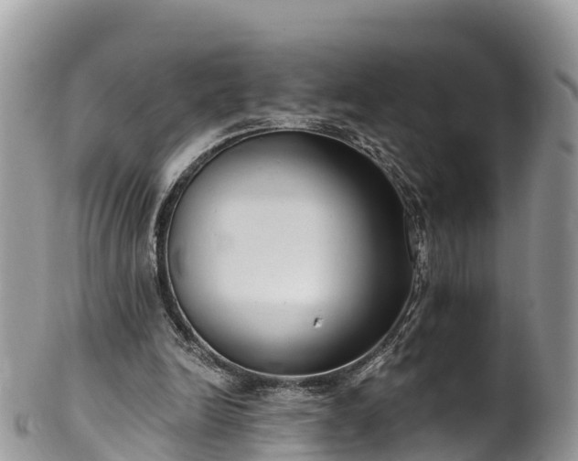 X0000102290246200808011519