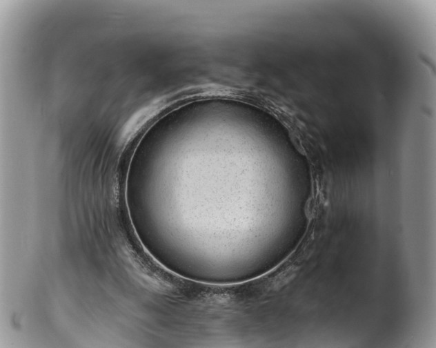 X0000102290247200808011519