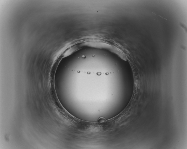 X0000102290248200808011519