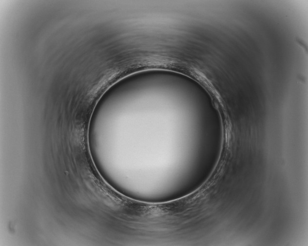 X0000102290249200808011519