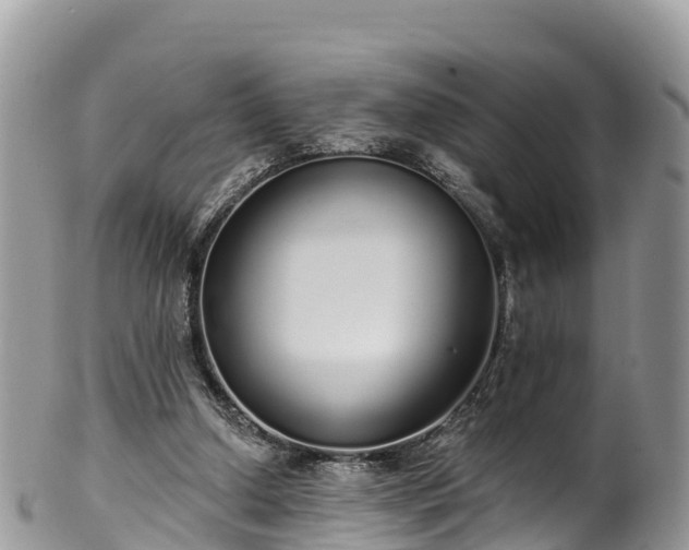 X0000102290250200808011519