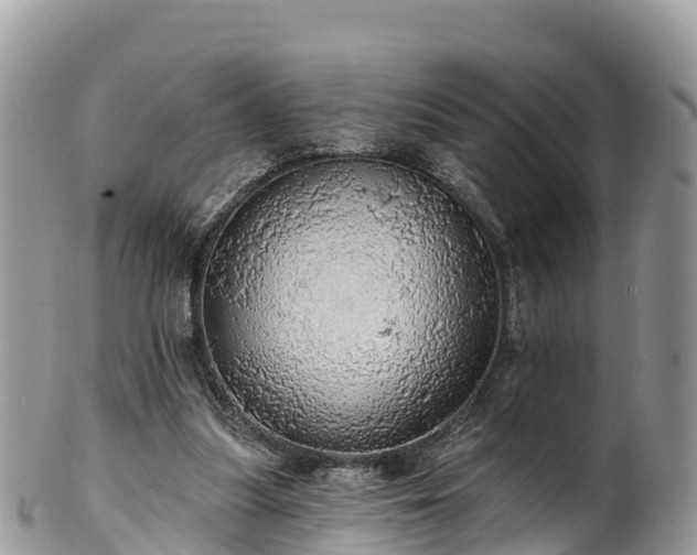 X0000102290251200808011519