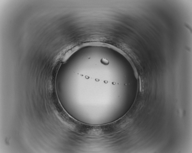 X0000102290252200808011519