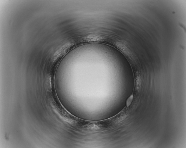 X0000102290254200808011519