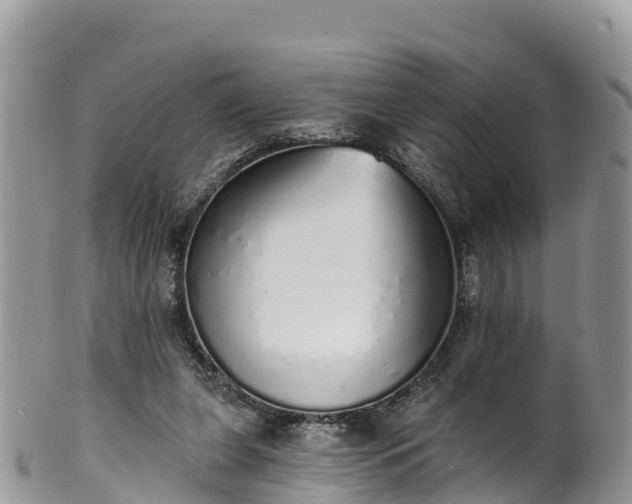 X0000102290255200808011519