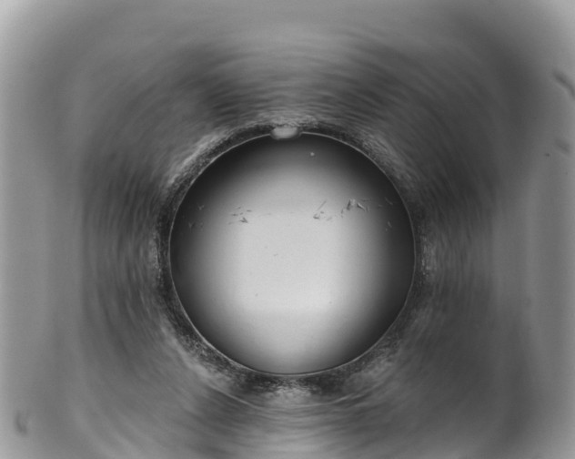 X0000102290256200808011519