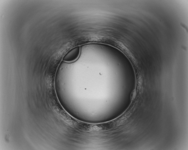 X0000102290257200808011519