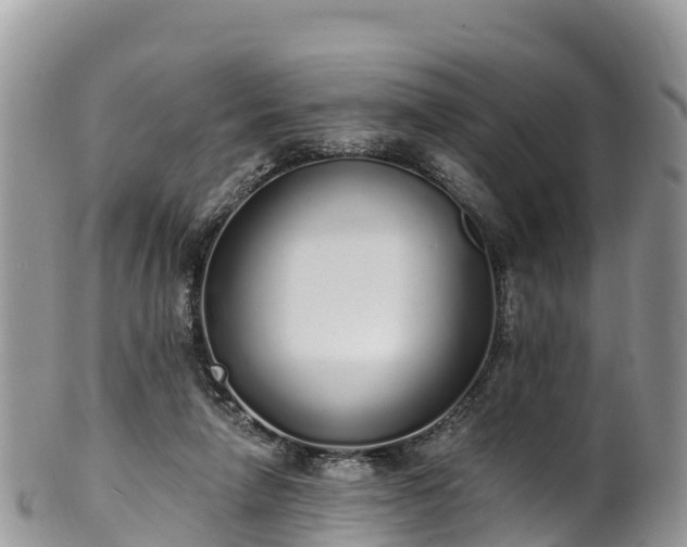 X0000102290258200808011519