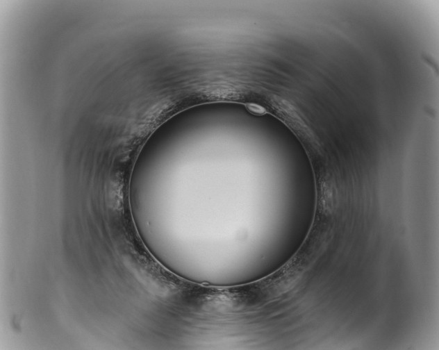 X0000102290259200808011519