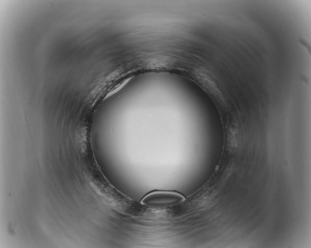 X0000102290260200808011519