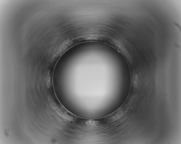 X0000102290261200808011519