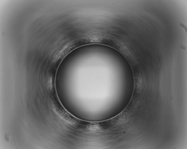 X0000102290262200808011519