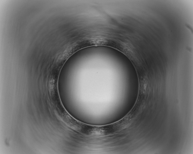 X0000102290263200808011519