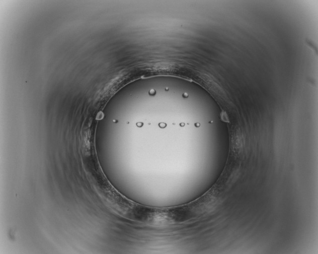 X0000102290264200808011519