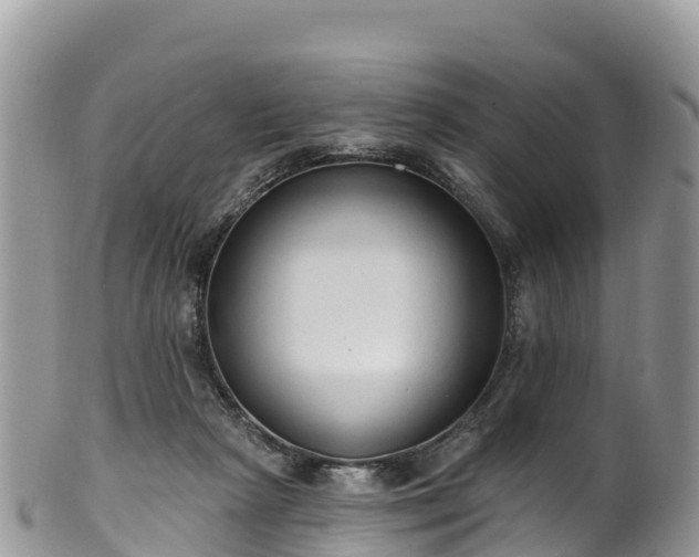 X0000102290265200808011519