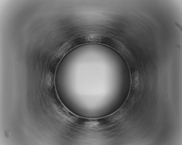 X0000102290266200808011519