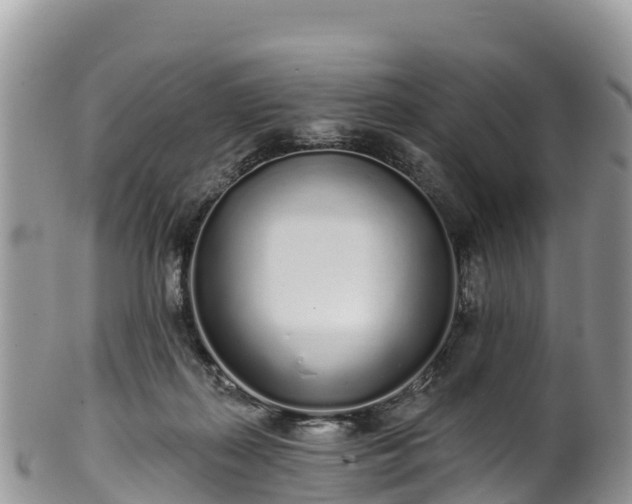 X0000102290267200808011519