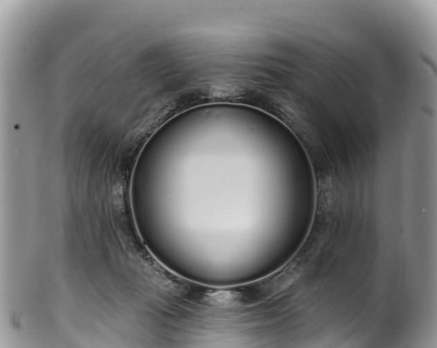 X0000102290269200808011519