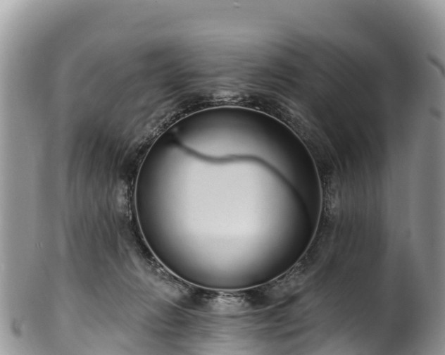 X0000102290270200808011519