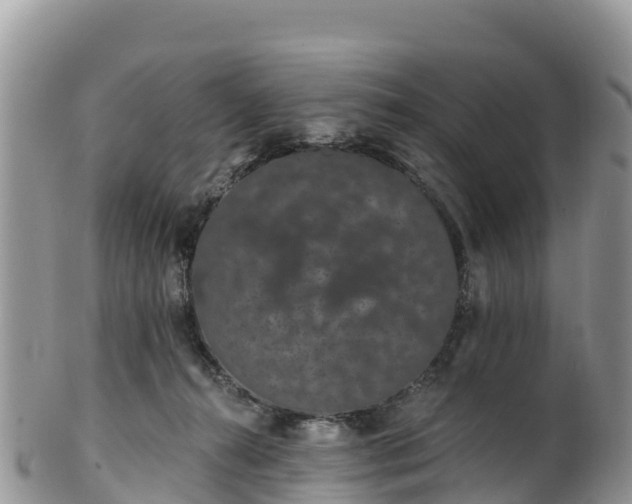 X0000102290272200808011519