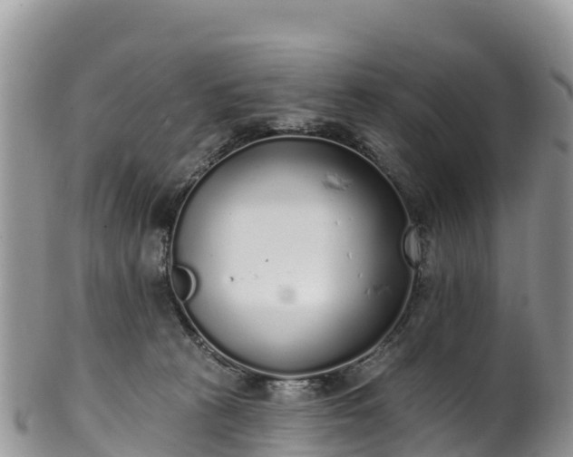 X0000102290273200808011519