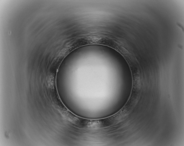 X0000102290274200808011519