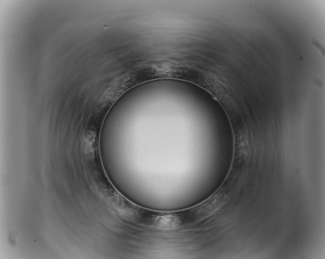 X0000102290275200808011519