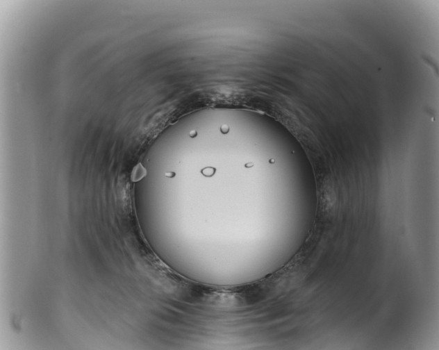 X0000102290276200808011519