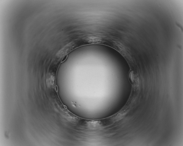 X0000102290281200808011519