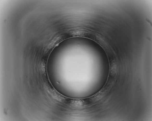 X0000102290282200808011519