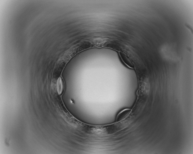 X0000102290283200808011519