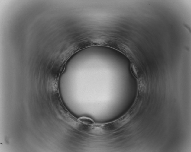 X0000102290285200808011520