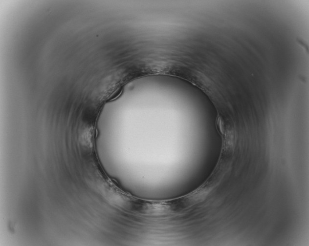 X0000102290286200808011520