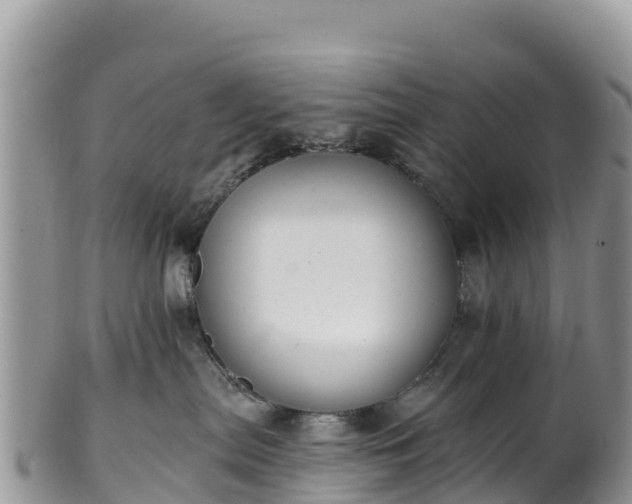 X0000102290287200808011520