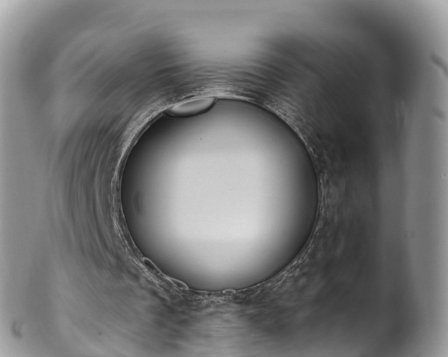 X0000102290289200808011519