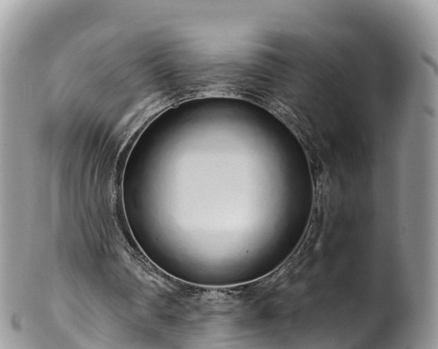 X0000102290290200808011519