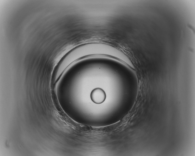 X0000102290292200808011519