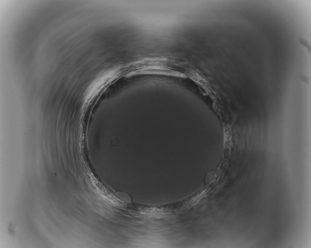 X0000102290293200808011519