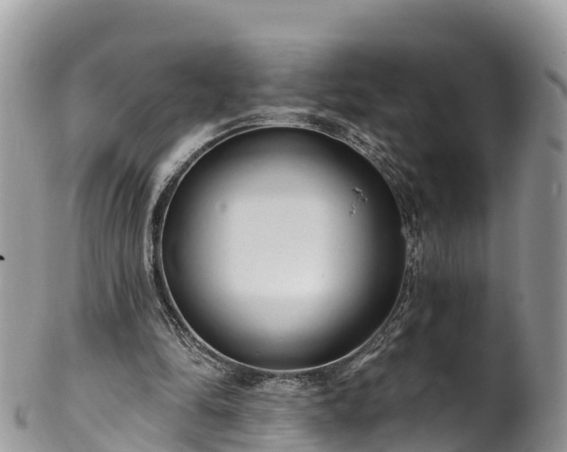 X0000102290294200808011519