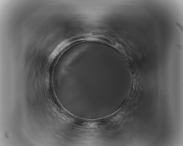 X0000102290295200808011519