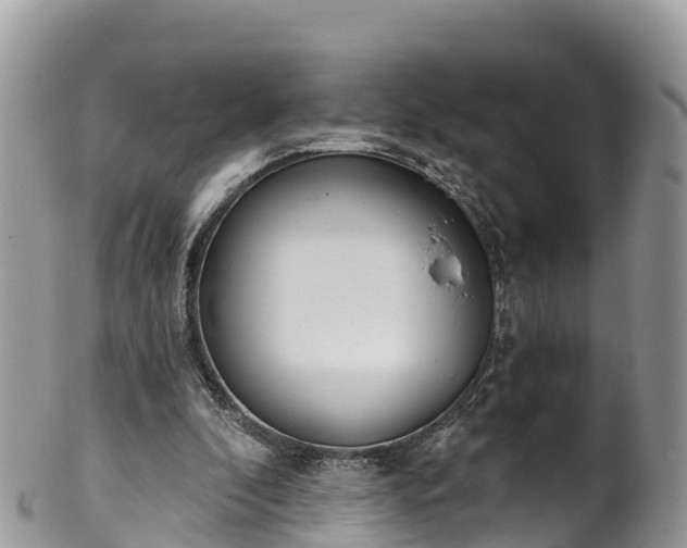 X0000102290296200808011519