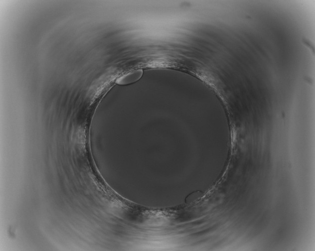 X0000102290297200808011519