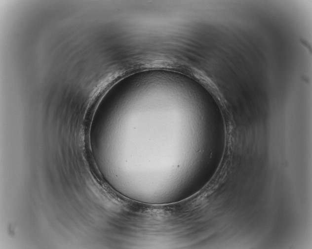 X0000102290298200808011519