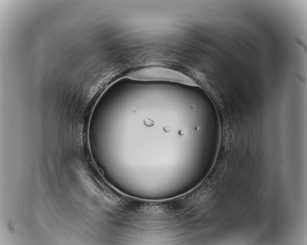 X0000102290299200808011519